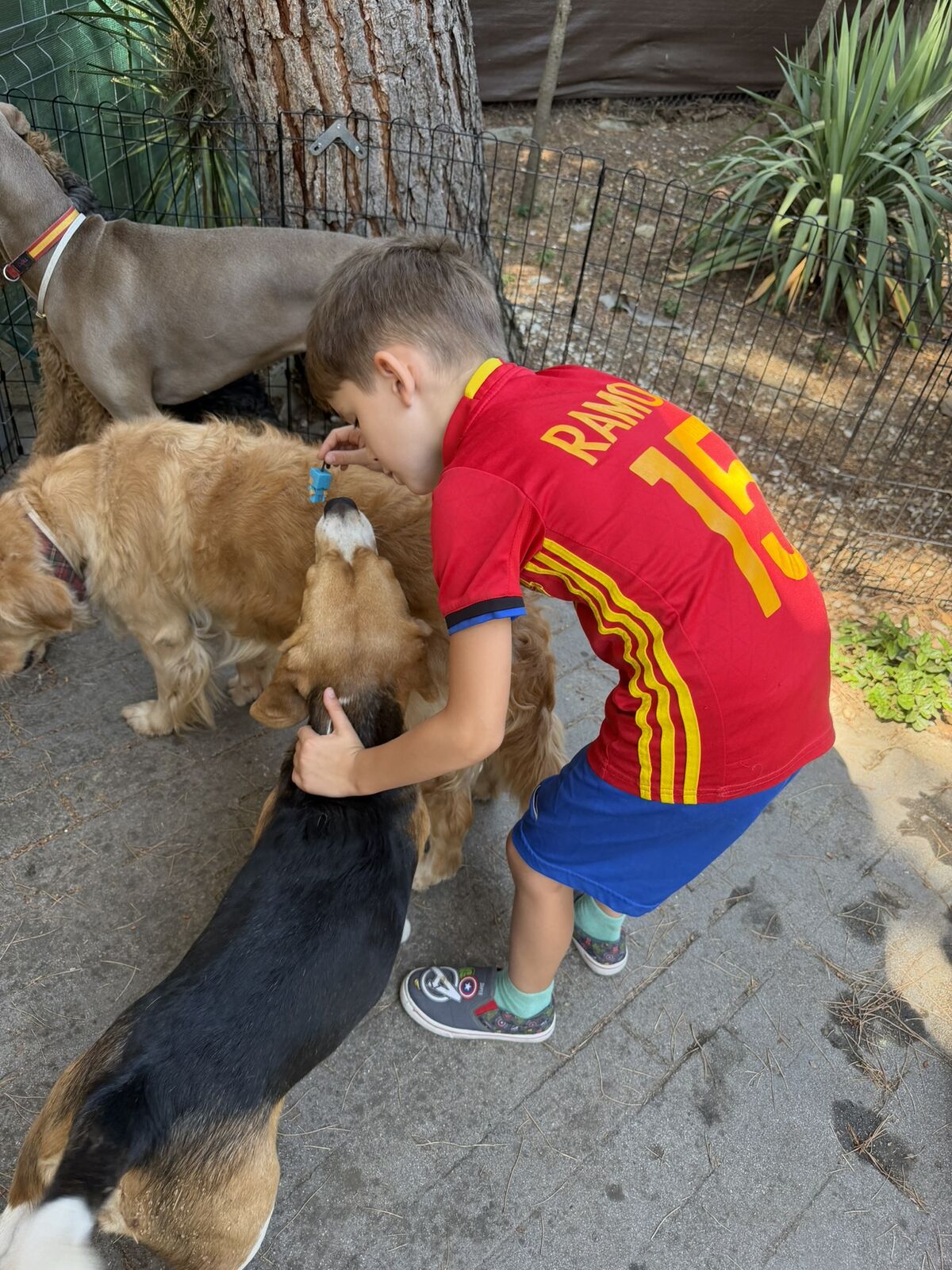 Perros y niños: claves para una buena convivencia